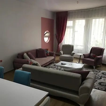 Concept Home&suit בורסה